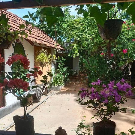 Mamisa Cafe, Home Stay Habarana Zewnętrze zdjęcie
