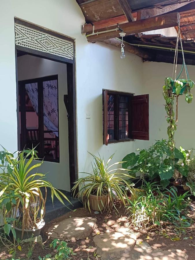Mamisa Cafe, Home Stay Habarana Zewnętrze zdjęcie