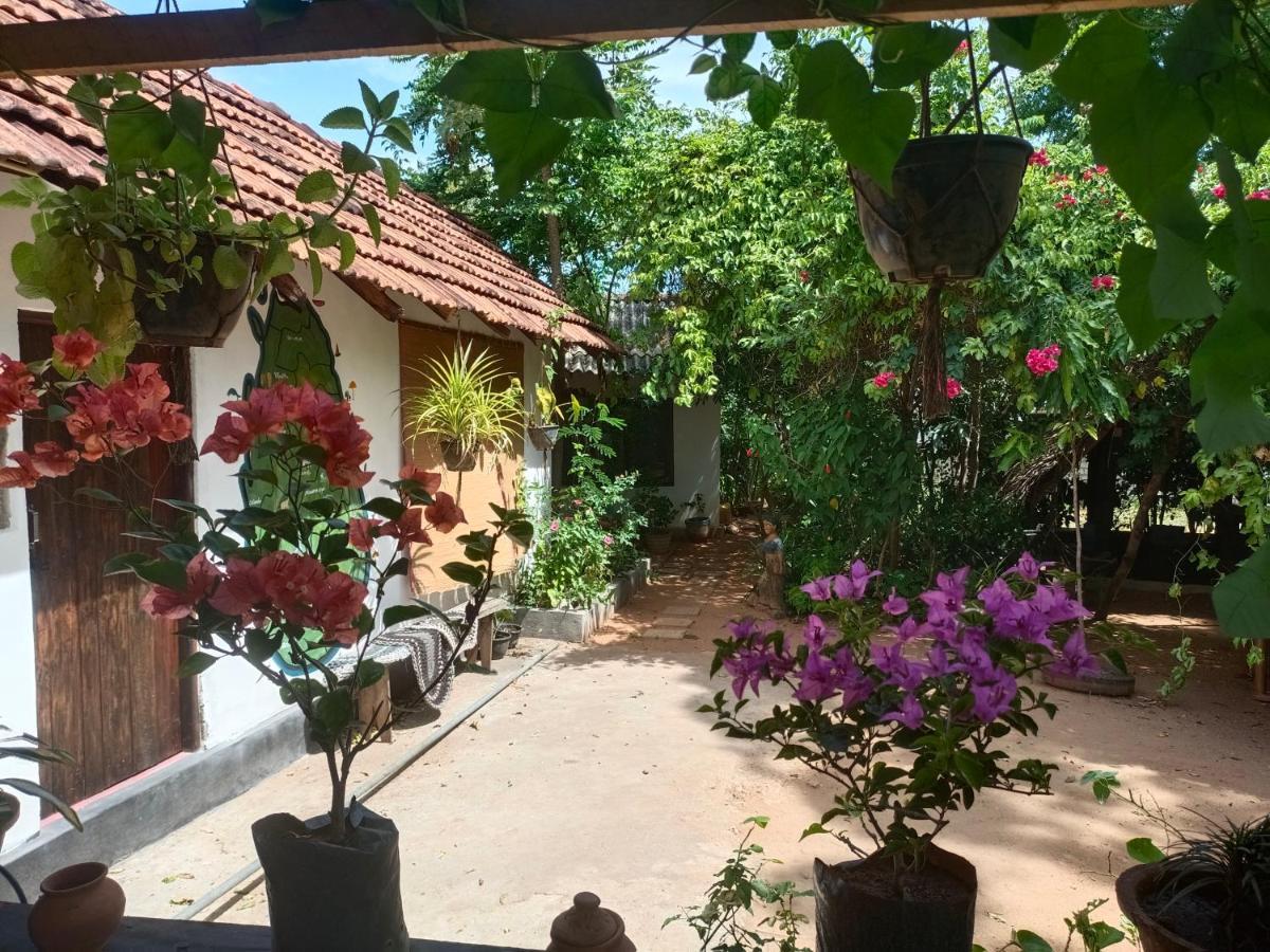 Mamisa Cafe, Home Stay Habarana Zewnętrze zdjęcie